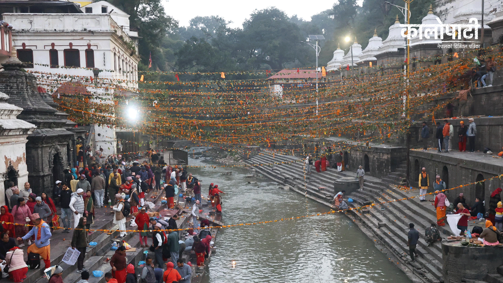 आज हरिबोधनी एकादशी,पशुपतिनाथमा तोरण टाँग्नेहरुको घुइँचो…(फोटो फिचर)